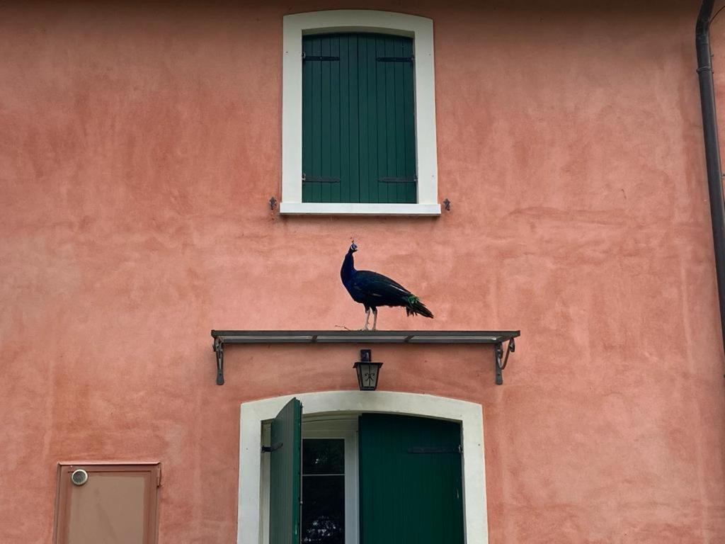 Casa Bencio